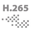 ������ ������ ����������� H.265