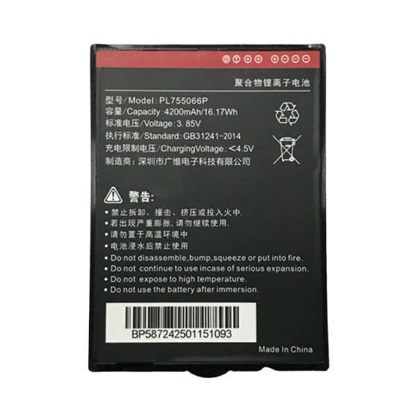 �������������� ������� ��� GlobalPOS GP-F5020