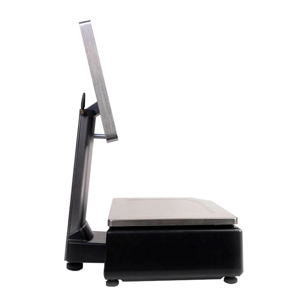 ���� � ������� �������� Mertech M-ER 727 PM