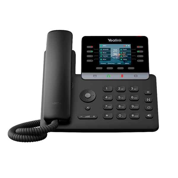 IP-������� Yealink SIP-T73W