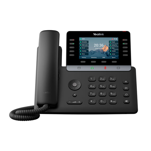 IP-������� Yealink SIP-T74W