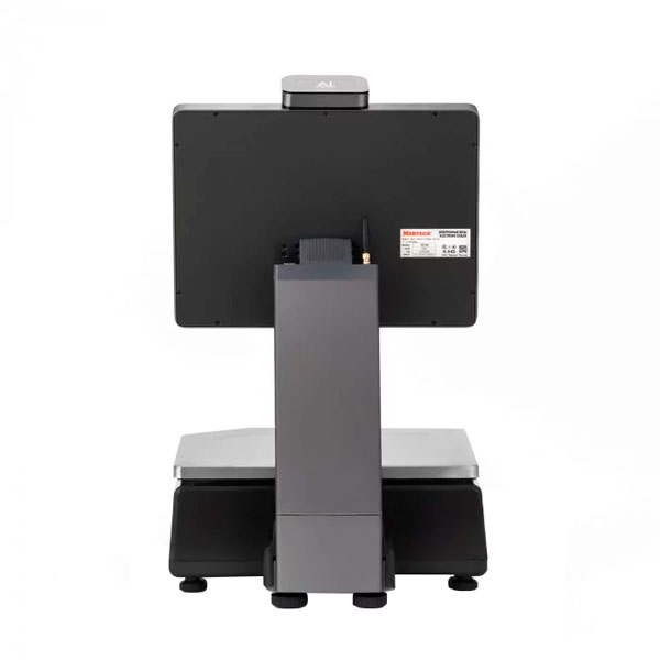 ���� � ������� �������� Mertech M-ER 727 PM VISION-AI